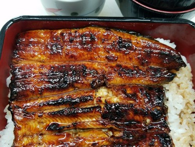 国産うな重御膳