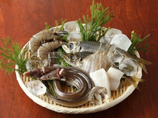 築地で吟味した活穴子や新鮮な魚をお召し上がりください