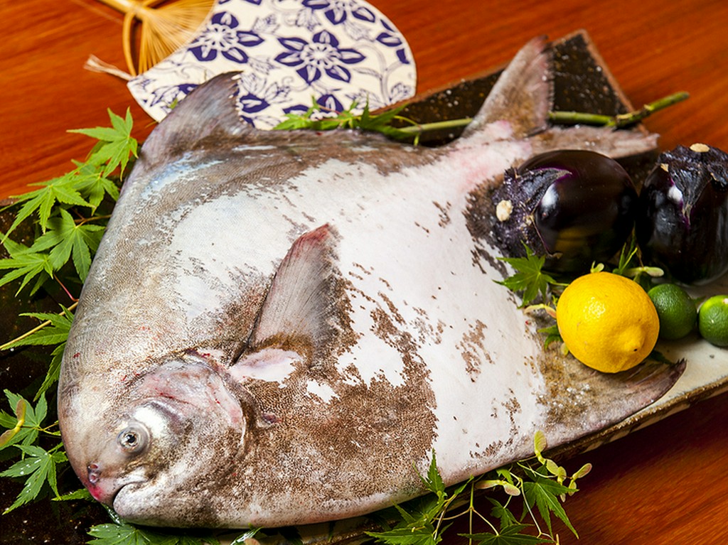 旬の食材に妥協なし。その日に一番美味しい食材を仕入れ