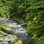 自然を身近に感じるには最適な花背地区。【美山荘】の脇には、桂川の源流が流れ、春の山桜、秋の紅葉、冬の雪景色と、四季折々の自然を堪能するには、お昼の利用がおすすめです。
