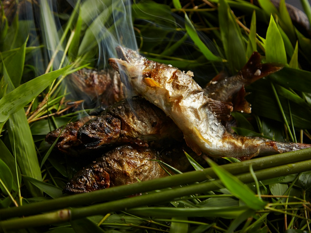 初夏のご馳走は、まず鮎から