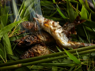 初夏のご馳走は、まず鮎から