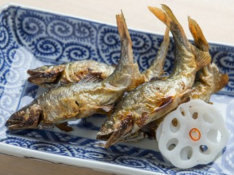 素材の旨味を存分に味わえる、炭火で焼いた『鮎の塩焼き』