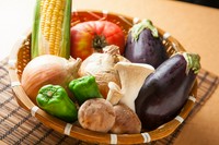 地元和歌山の野菜を中心に使用しています