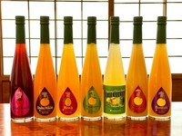 博多あまおう（福岡）、温州みかん（佐賀）、びわ（長崎）、甘夏（熊本）、かぼす＆柚子（大分）、日向夏（宮崎）、ボンタン（鹿児島）、沖縄フルーツチャンプルー（沖縄）