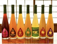 博多あまおう（福岡）、温州みかん（佐賀）、びわ（長崎）、甘夏（熊本）、かぼす＆柚子（大分）、日向夏（宮崎）、ボンタン（鹿児島）、沖縄フルーツチャンプルー（沖縄）