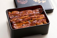 トロッと蕩けるような食感とコクのある旨みが楽しめる『うな重 坂東太郎（特上）』