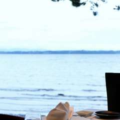 柔らかな日差しが、心落ち着くひとときを演出