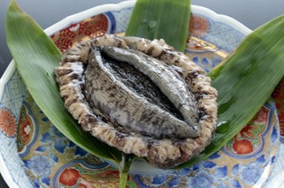 鮮度抜群の別府ならではの「こだわり食材」