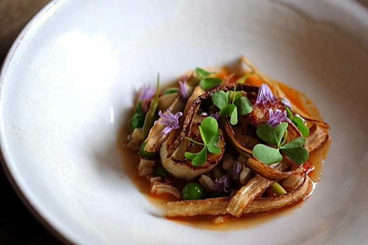 メゾンサンカントサンク 代々木上原/フレンチ | ヒトサラ