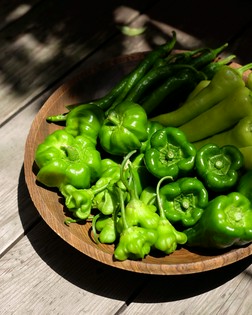契約農家の自然栽培の野菜やハーブ