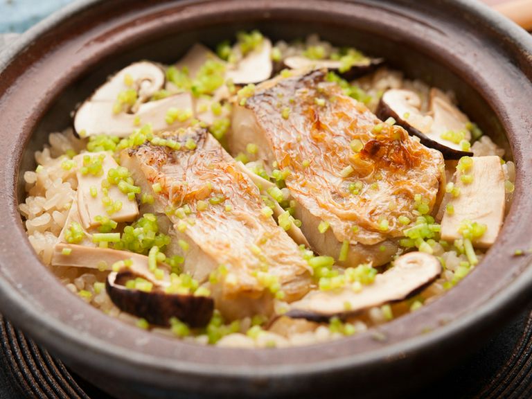 おまかせコース