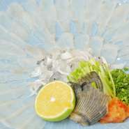 近海で獲れるふぐ刺しは、写真のとおり、薄造りで皆様にお召し上がりいただきます。身の締まりもよく、どなた様もご満足いく自慢の一品です。