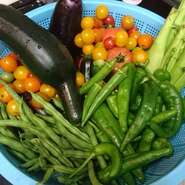 【daikanyama O'KOK】では17代続く【篠宮菜園】から畑の一角を借り、季節の野菜を育成。キッチンのカウンターには、みずみずしい獲れたての旬野菜が並びます。まるで、料理されるのを今かと待ち望んでいるみたい。