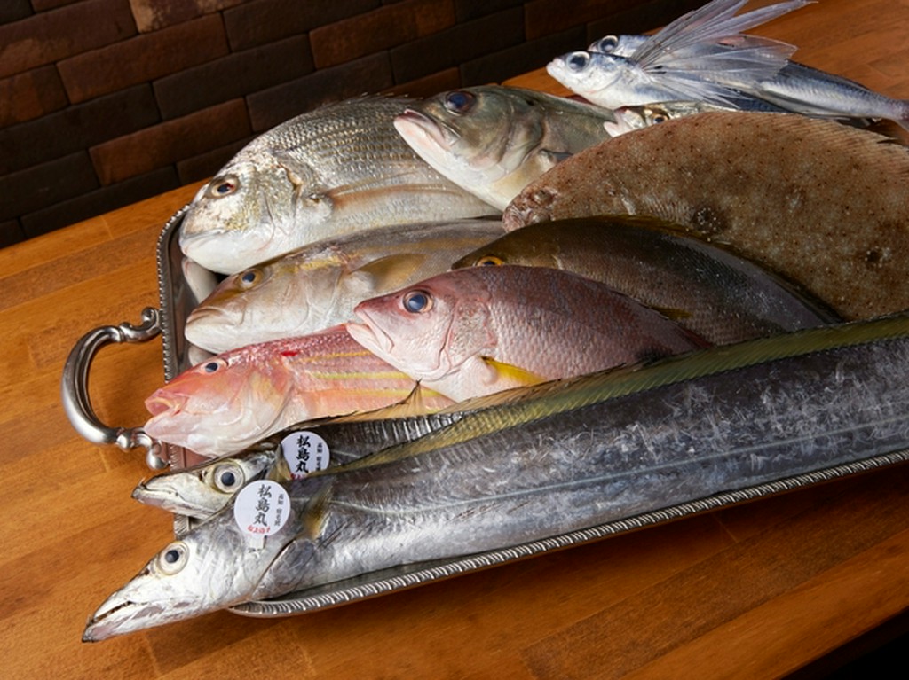 高知県宿毛漁港から直送の新鮮魚介類