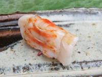 味の決め手は、ネタの開き方にあり。海老の味噌の甘みもしっかり感じられる『唐津産　車海老』