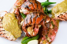 	
記念日や接待にお使いいただけるよう高級食材を織りまぜたコースです。