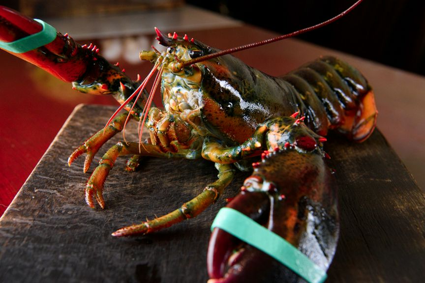 国内外から厳選する、最高級の『活オマール』や珍しい野菜