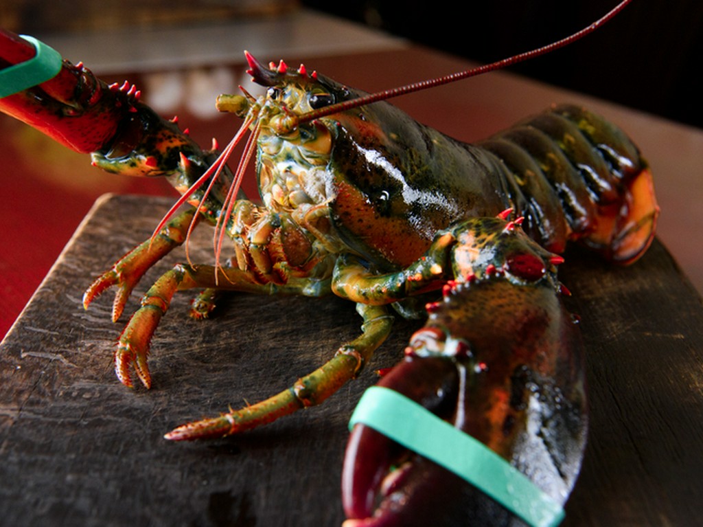 国内外から厳選する、最高級の『活オマール』や珍しい野菜