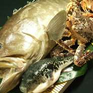 さまざまな種類の魚を揃えたいという思いから、博多の市場や魚業者は３つほど使い分けているというこだわり様。夏はイカやオコゼ、冬はふぐやアラ（クエ）など、季節に応じた新鮮な魚を仕入れています。