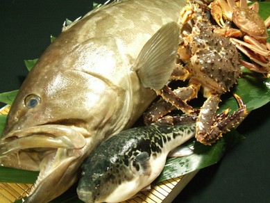 食材にこだわっている