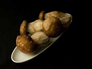 九州産の野菜、魚介、肉を中心に、イタリアやフランスの旬の味も