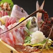 愛知県の地魚や各地の魚介類を毎日仕入れております。
その時、旬の魚介類を魚鉄に来てお召し上がりください。