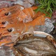 ※コースの所要時間は、混雑状況によりますが2時間～3時間でございます。
