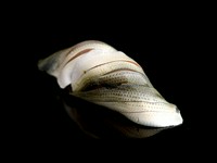 新鮮な青背魚を酢でしめ、繊細な包丁さばきをほどこしています。酸味と塩加減が絶妙で、素材の味を堪能できます。