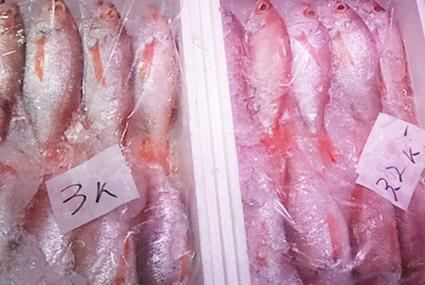 山口県の旬な食材と、鮮度にこだわった質の良い素材