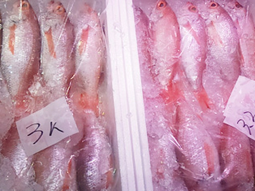 山口県の旬な食材と、鮮度にこだわった質の良い素材