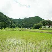 筑穂牛は、旧筑穂町の肥育農家が特別な方法で育てたブランド牛。脂が乗っているので甘みが強く、舌の上でとろける味わいが人気です。生産頭数が少ないため幻のブランド牛と呼ばれ、食べられるお店は限られています。