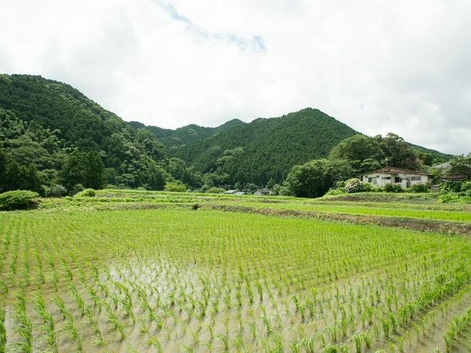 地方の味を楽しめる