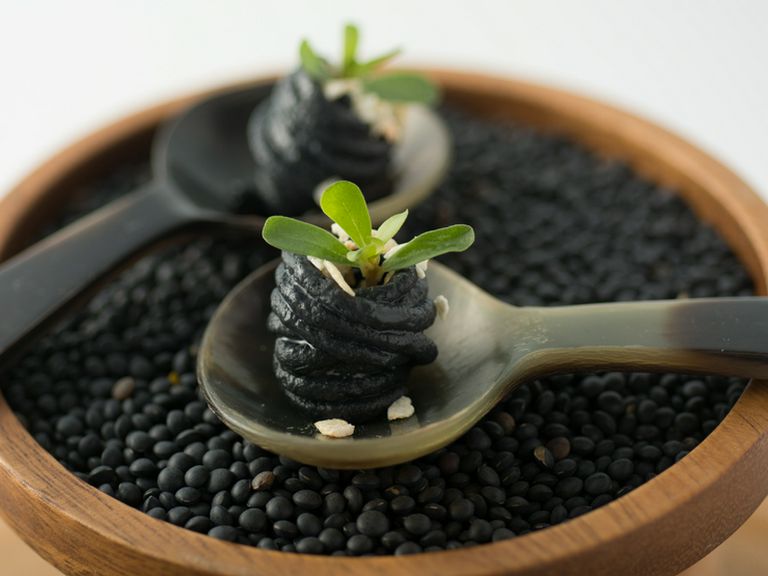 クルマエビと炭のスパゲティ