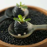 地元で作られた竹炭と海老を練り込んだスパゲティ。海老から抽出した香り高いオイルと車海老から作ったさくさくのパフがアクセントになった一品は、見た目も香りも食べても美味しく楽しんでいただける一品です。