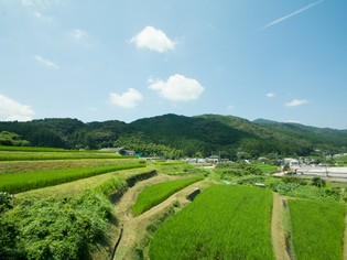 那珂川町は、綺麗な水と緑の町