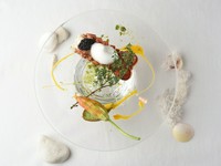 オマール丸ごと1尾を使った贅沢な一皿。帆立のムースが入った花ズッキーニや、タイムで香りづけされた泡などそれぞれのエレメントをじっくりと楽しみたい逸品です。