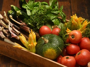 減農薬法を用い自家菜園で育てる旬の野菜と、地元明石の魚介