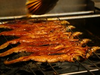 国産うなぎを心行くまで味わえる贅沢な懐石コース