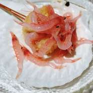 春と秋だけお召し上がり頂けます。海の宝庫と言われるくらい鮮やかで目でも楽しんで頂け、とても美味しいです。帆立貝柱とたっぷりの生桜海老をご賞味下さい。