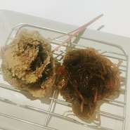 衣を薄くして揚げています。天麩羅も美味しいですが、串揚げでも絶品！