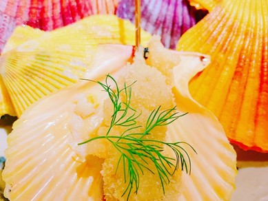 熊本から直送の緋扇貝