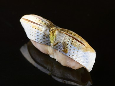 加藤大親方譲りの仕事が光る『コハダ』