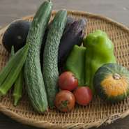店の主役となるこだわりの野菜は、「風の色」という農家を中心に、地元の直売所や市場から仕入れ。出来る限り地元の柏で栽培され、無農薬、自然農法で育てられた野菜を使用しています。