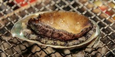 新鮮な鮑を備長炭で焼き上げた逸品。ステーキと鮑を一度に楽しめるコース内容となっております。