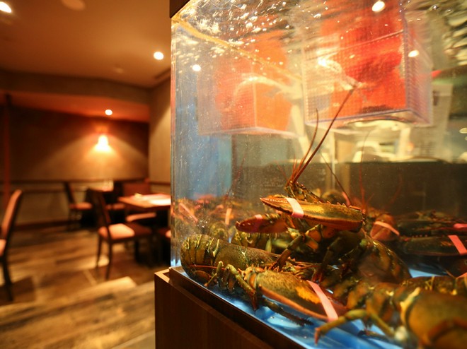 食材にこだわっている