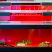 99％の人が食べたことのない、めずらしい食材をイタリアンで