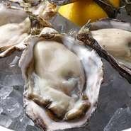 旬の生牡蠣をご提供