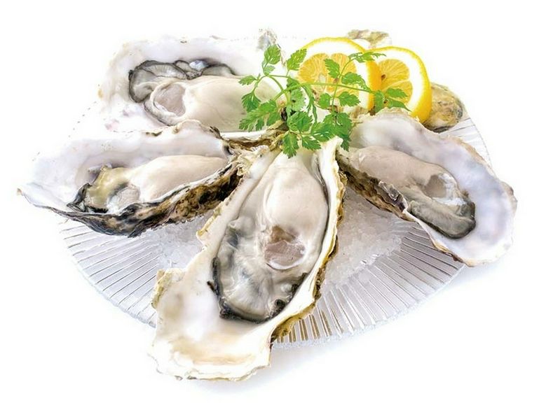 牡蠣の旨みたっぷり「エイス シー オイスター」