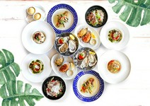 ディナー限定コース、季節の野菜や新鮮なお魚、焼牡蠣、メイン等全7品！《乾杯スパークリングワイン付き》